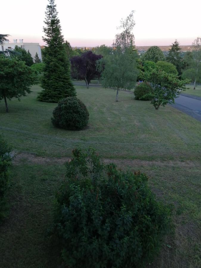Appartement Pres De Beauval Et Des Chateaux Montrichard Exterior photo